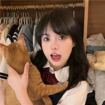 猫狗大战2